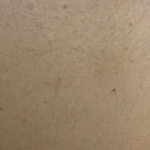 Meet your Posher, Cameron